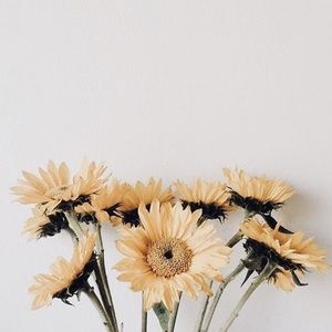 Meet your Posher, Alejandra